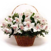 Basket of white orchids 