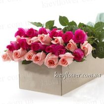 25 троянд в подарунковій коробці (Роза Еквадор)