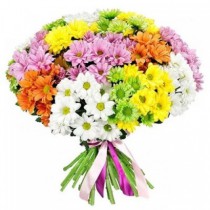 Букет з 51 різнобарвної хризантеми